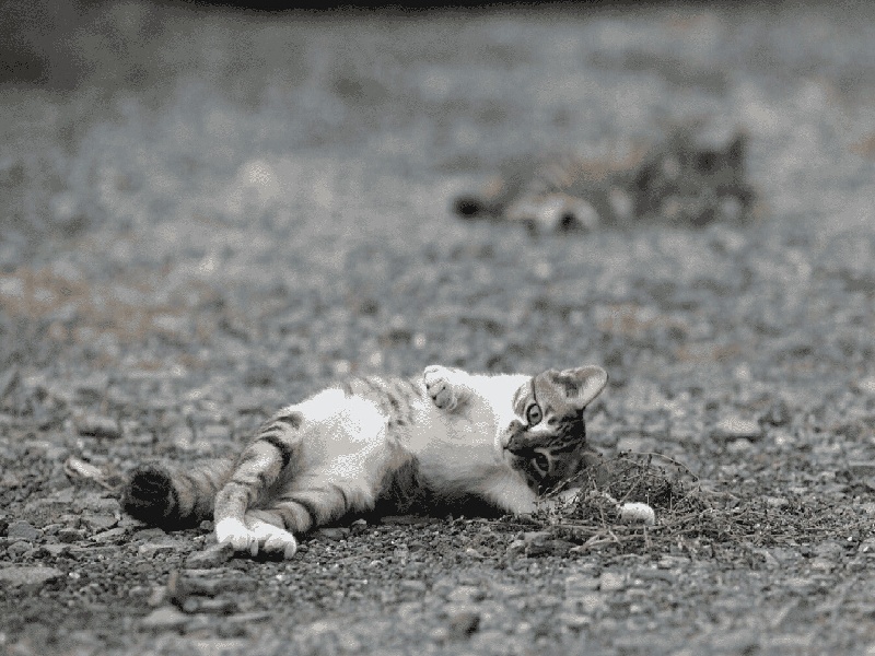 长沙代怀最好医院,泰国试管价格高吗？-长沙有没有供卵机构_长沙供卵试管医院