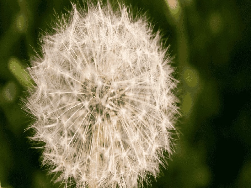 <strong>淮南试管医院排名（人工受精费用多少）</strong>