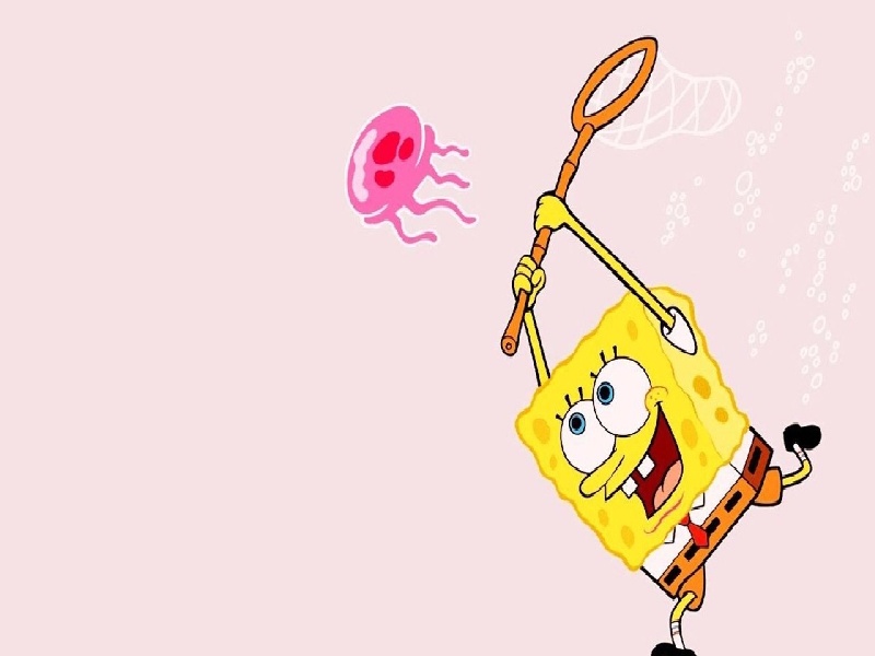 长沙三代供卵例子,山东临沂做试管婴儿成功率最高的医院是哪里？如何选-长沙